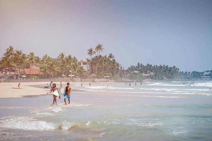 10 Days in Sri Lanka: Scenic Trains, Tea Country & Yala Safari photo 4