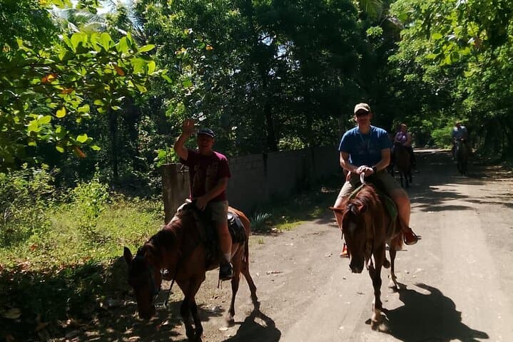 Ride Through the Dominican Countryside: Horseback Tours from Puerto Plata photo 2