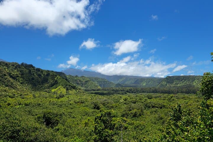 Private Road to Hana Tour with Pickup — Full-Day Guided Maui Adventure photo 6