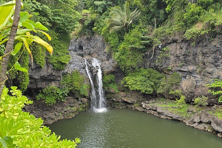 Backside Road to Hana Private Tour — Ultimate Kipahulu, Kaupo & Ulupalakua Day Trip photo 5