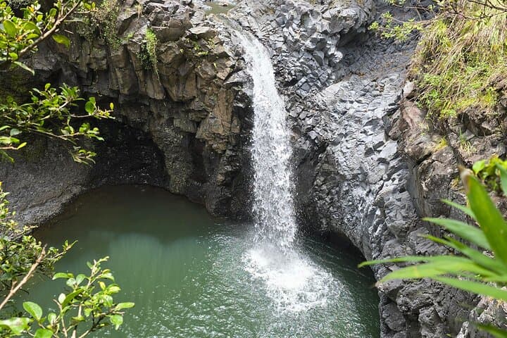 Backside Road to Hana Private Tour — Ultimate Kipahulu, Kaupo & Ulupalakua Day Trip