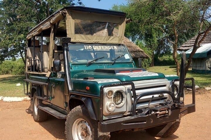 Murchison Falls 2-Day Safari: Rhinos, Chimps & Nile Boat Cruise photo 3
