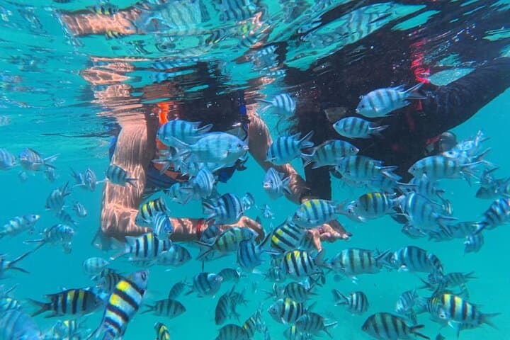 Snorkel Trikora Beach: Bintan's Coral Reefs, Kayak & Fishing Combo photo 1