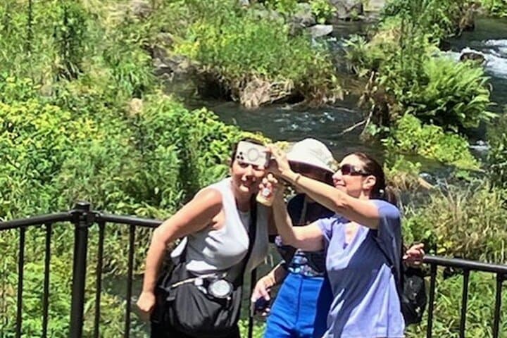 Fuji Area Cultural Highlights Day Tour from Shimizu Port — Shiraito Falls, Sengen Taisha & Miho no Matsubara photo 2