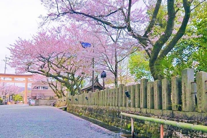 Day Trip to Kumamoto Castle, Mount Aso & Kurokawa Onsen — Full-Day Kyushu Adventure photo 3