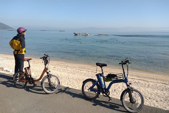 Cycle Lake Biwa: Casual E-Bike Rentals to Miho Museum and Shigaraki