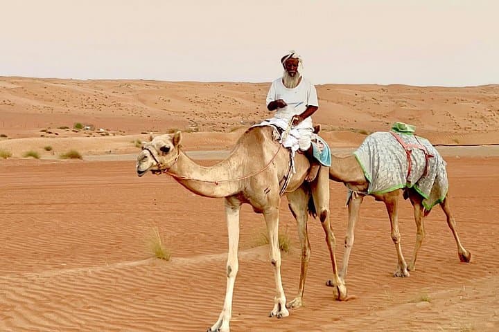 Wahiba Sands Day Trip: Dune Safari, Camel Ride & Wadi Bani Khalid Swim photo 1