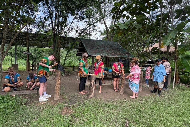 Half-Day Chiang Mai Elephant Sanctuary Visit — Ethical Wildlife Experience photo 4