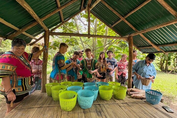 Half-Day Chiang Mai Elephant Sanctuary Visit — Ethical Wildlife Experience photo 5