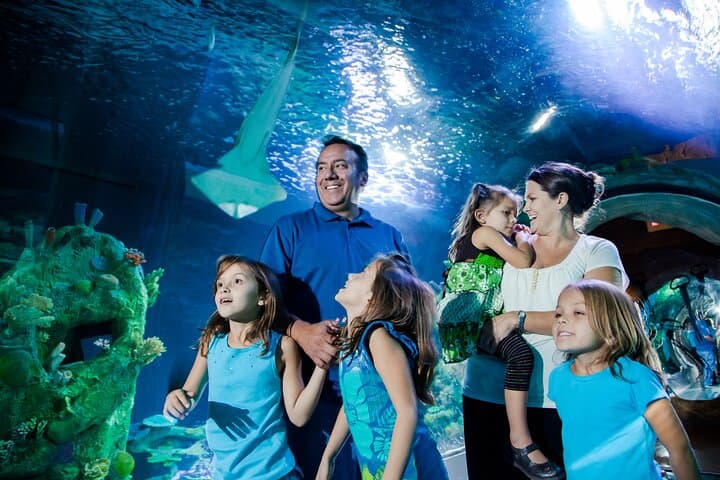 Inside SEA LIFE Arizona: A Cool, Family-Friendly Aquarium Experience in Phoenix photo 1