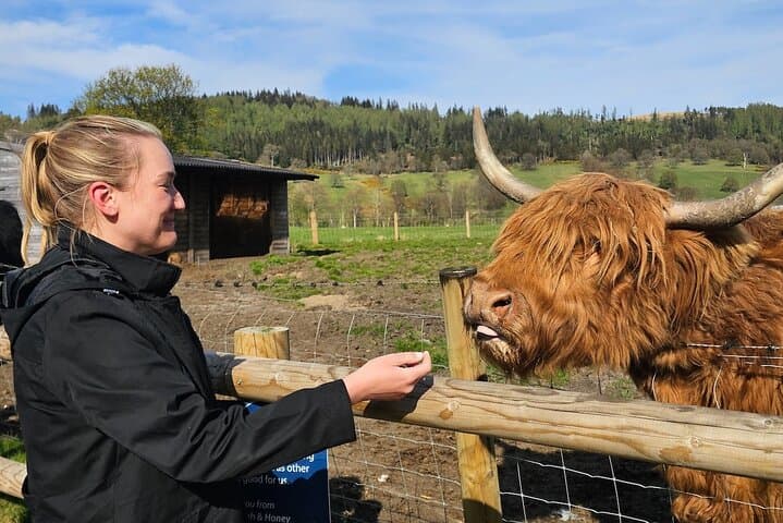 Speyside Whisky Road Trip: 3-Day Private Guided Tour from Edinburgh photo 2
