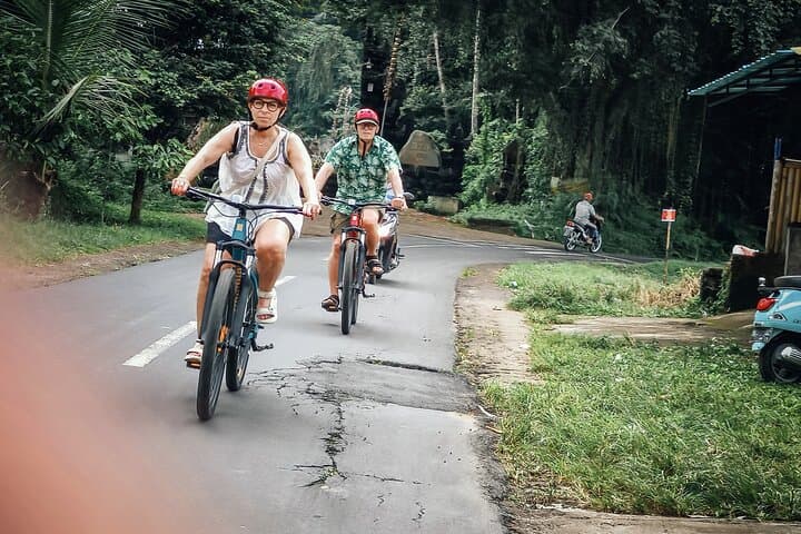 Ubud Taro Bicycle Tour: Rice Terraces, Temples & Campuhan Ridge photo 6