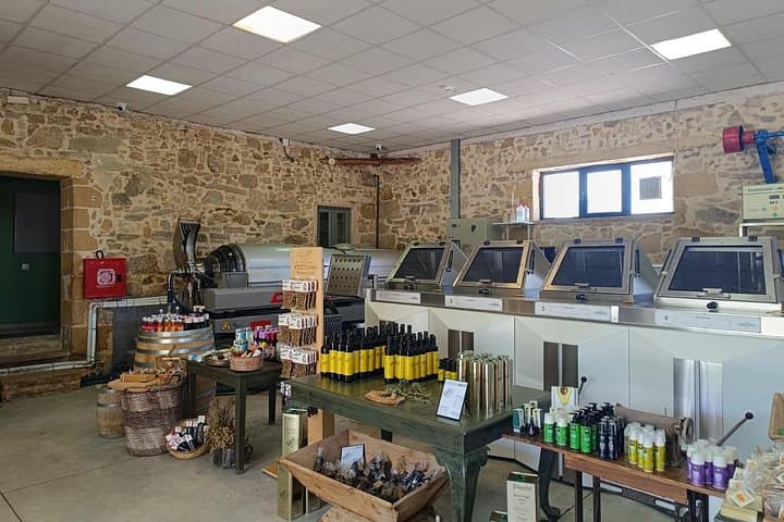 Falassarna Beach & Cretan Olive and Honey Tasting — Private Tour from Chania photo 4