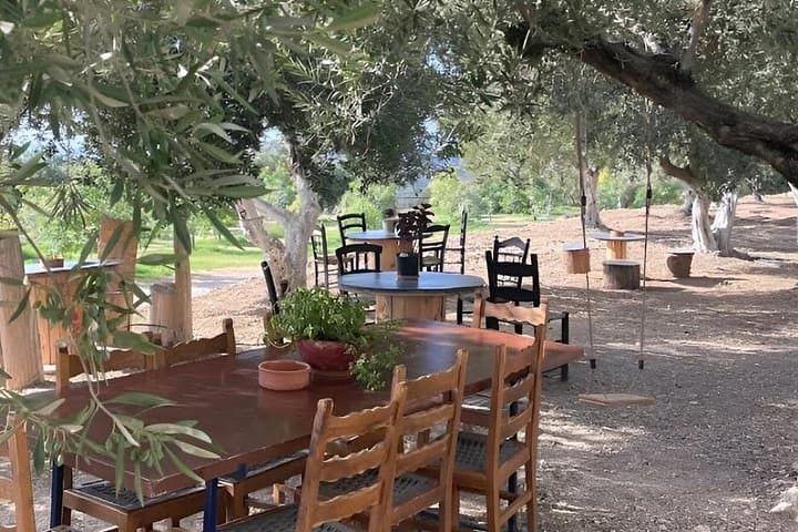 Falassarna Beach & Cretan Olive and Honey Tasting — Private Tour from Chania photo 2