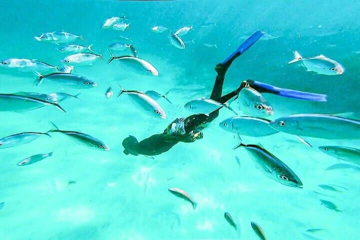 Sail and Snorkel: Punta Cana's Ultimate Party Boat Adventure photo 5