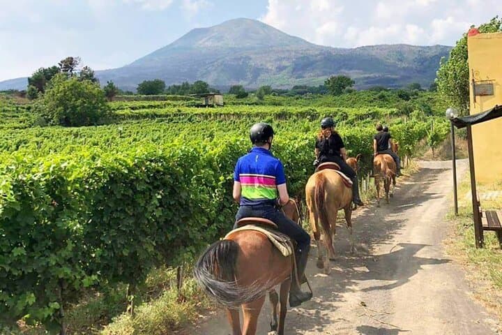 Nighttime Horseback Ride and Volcano Winery Dinner on Mt. Vesuvius photo 6