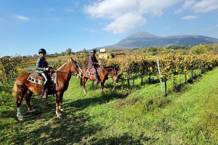 Pompeii Guided Tour & Horse Riding on Vesuvius — Ruins, Vineyards & Wine photo 1