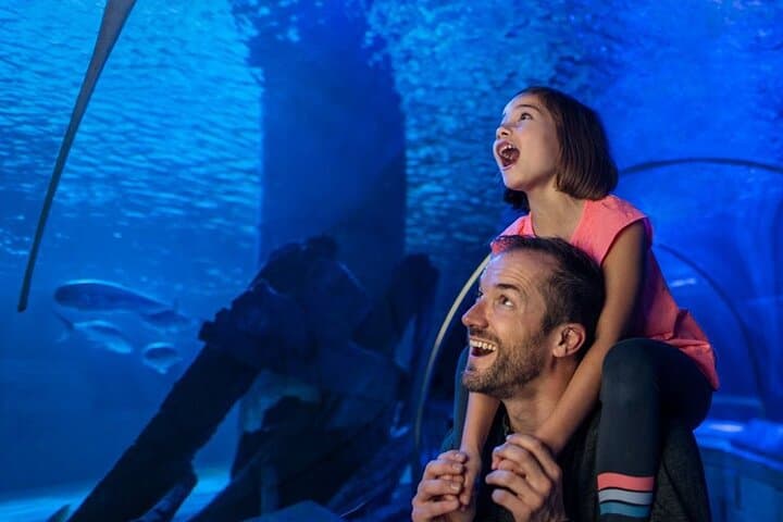 Explore SEA LIFE Minnesota Aquarium at Mall of America: Sharks, Tunnels & Interactive Exhibits