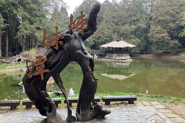Alishan One-Day Tour from Taichung: Rail Ride, Ancient Cypresses & Sunrise Views photo 4