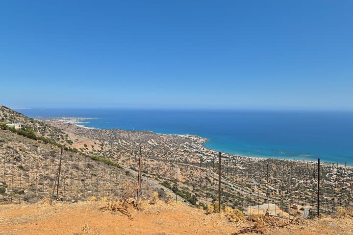 Knossos & Lasithi Plateau Villages — Full-Day Olive Oil, Windmills & Minoan History Tour photo 3