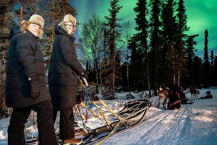 Dog Sledding and Northern Lights in Fairbanks: Night Combo Tour photo 4