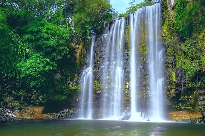 Sloth and Llanos del Cortés Waterfall Tour — Swim, Wildlife & Rainforest Near Liberia
