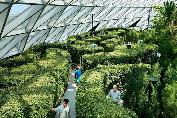 Jewel Changi: Rain Vortex, Canopy Park & Canopy Bridge Ticket photo 2