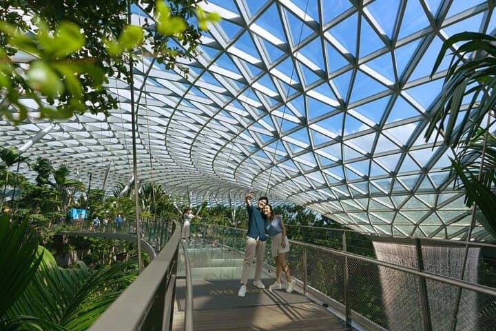 Jewel Changi: Rain Vortex, Canopy Park & Canopy Bridge Ticket photo 4