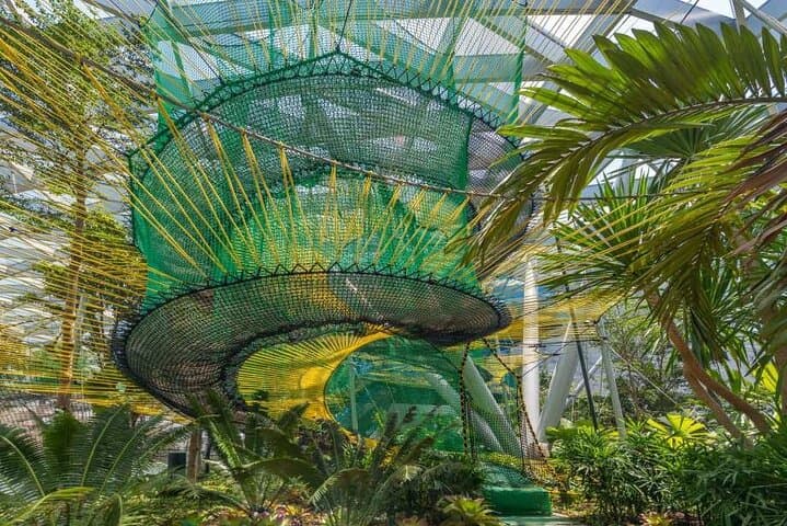 Jewel Changi: Rain Vortex, Canopy Park & Canopy Bridge Ticket photo 5