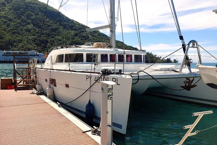 Luxury Private Catamaran Cruise in Moorea — Snorkel with Dolphins & Sunset Views photo 4