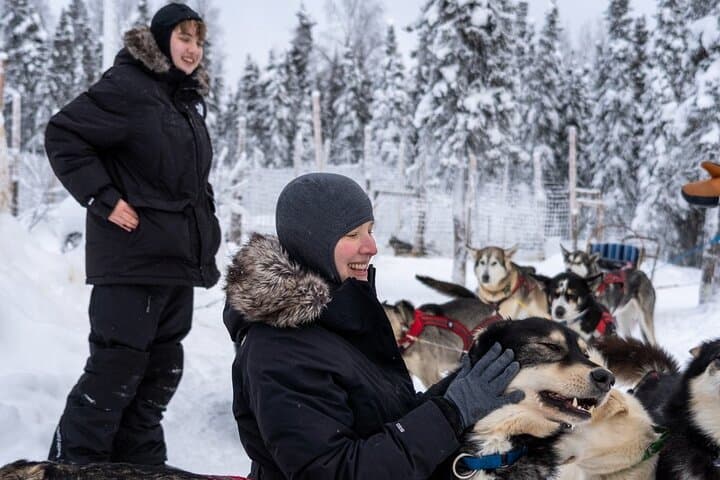 Family-Friendly Mini Dog Sledding & Kennel Visit near Fairbanks photo 6
