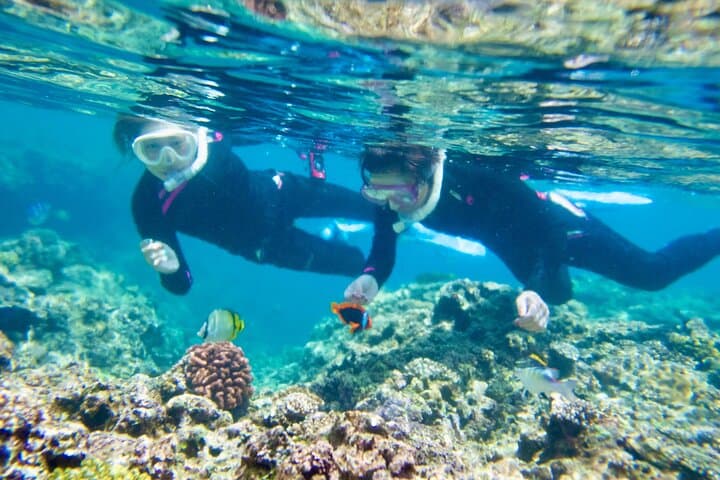 Kayak to Okinawa's Blue Cave and Snorkel with Tropical Fish photo 4