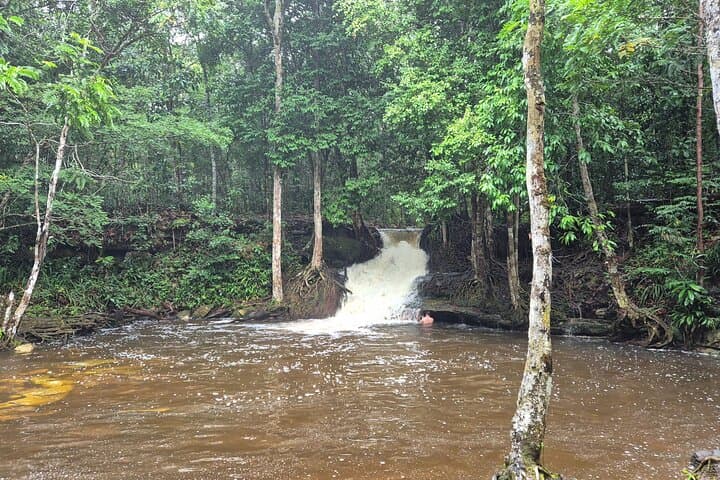 2-Day Waterfalls, Caves & Trails Adventure in Presidente Figueiredo (Amazonas) photo 6