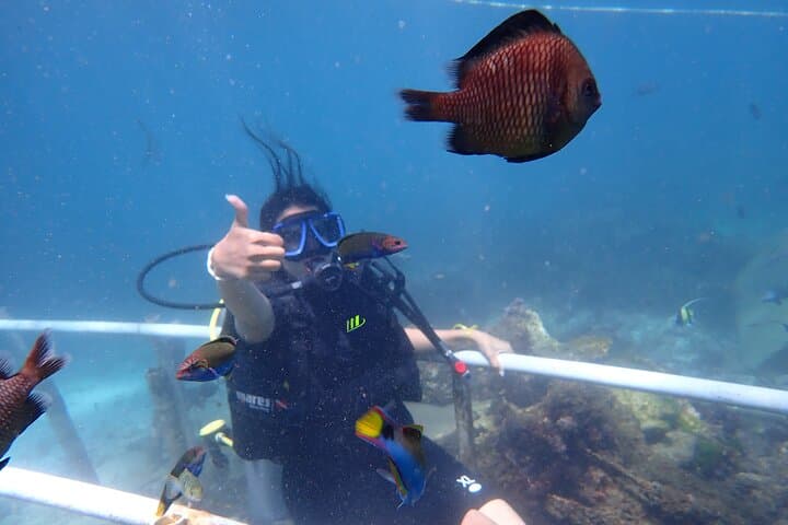 Beginner Scuba Dive in Nusa Dua — 25-Min Underwater Intro Without Certification photo 2