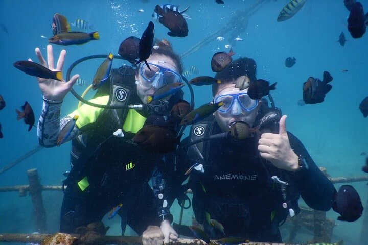 Beginner Scuba Dive in Nusa Dua — 25-Min Underwater Intro Without Certification photo 3