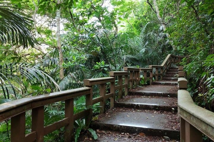 Ishigaki Island Private Tour: All-Inclusive Scenic & Cultural Day Trip photo 3