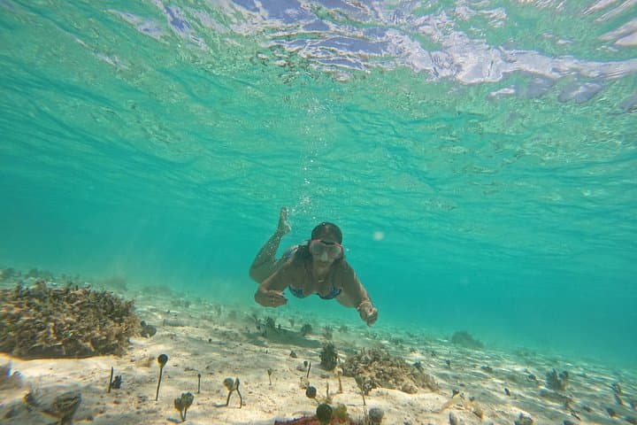 San Blas Full-Day Islands Adventure: Snorkel the Natural Pool & Sunken Boat photo 6