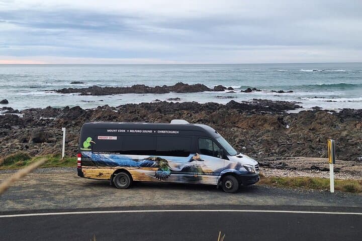 Catlins Full-Day Tour: Invercargill to Dunedin via Curio Bay, Purakaunui & Nugget Point photo 5