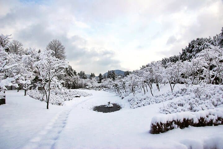 Elysian Gangchon Winter Ski & Nami Island Day Trip from Seoul photo 4