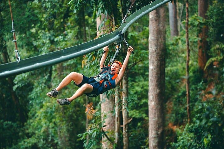Chiang Mai Jungle Flight Zipline Roller Coaster — Thailand's Longest Canopy Ride