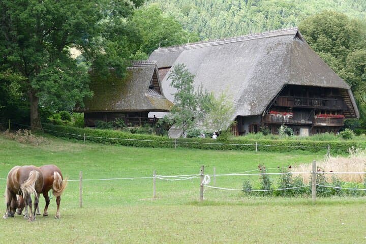 Black Forest Day Trip from Strasbourg — Gengenbach, Vogtsbauernhof & Mummelsee