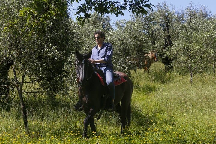 Chianti Horseback Ride and Farm-to-Table Tuscan Meal from Florence photo 2