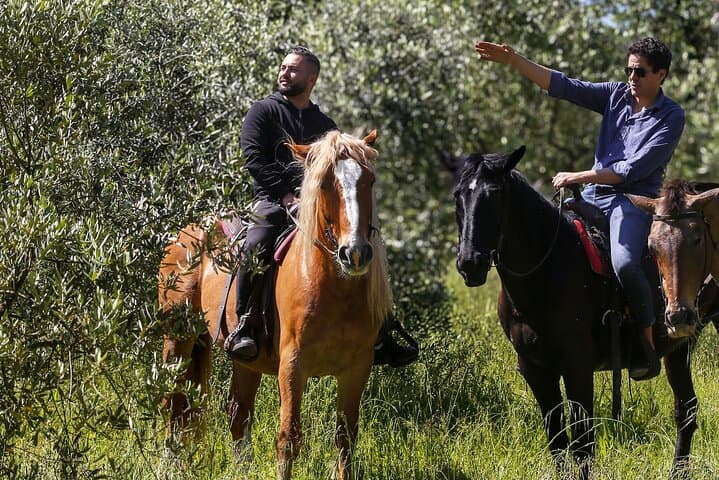Chianti Horseback Ride and Farm-to-Table Tuscan Meal from Florence