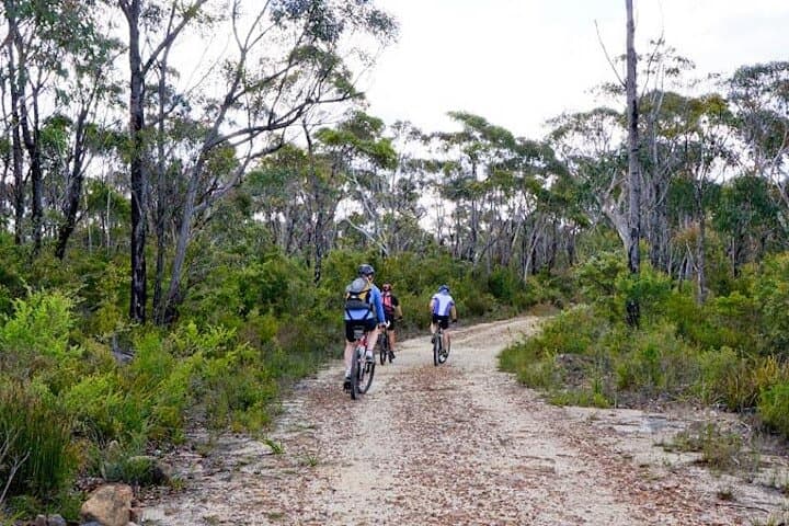 Blue Mountains electric mountain bike tour — Katoomba to Glenbrook via Oaks Fire Trail photo 4