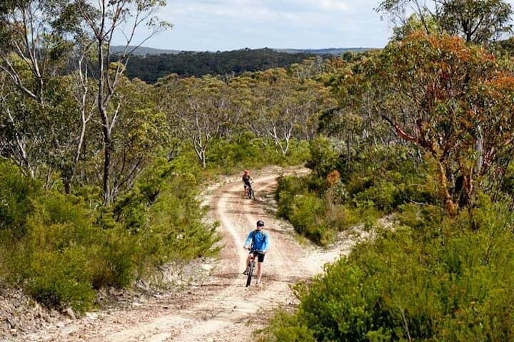 Blue Mountains electric mountain bike tour — Katoomba to Glenbrook via Oaks Fire Trail photo 6