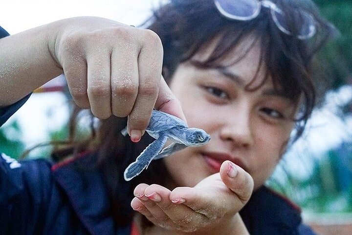 Hon Bay Canh Overnight Camping & Turtle Release — 2-Day Con Dao Eco-Adventure photo 5