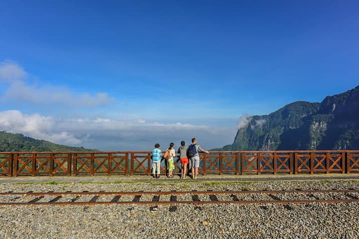 Alishan Sunrise & Forest Safari: 2-Day Private Tour from Taipei photo 3