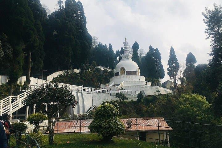 Sikkim & Darjeeling 7 Nights: Scenic Tour with Toy Train, Tea Gardens & Himalayan Views photo 4