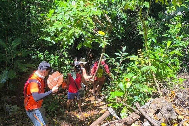 Trek to Puerto Princesa Underground River: Sabang Jungle Trail & Cave Paddle photo 4