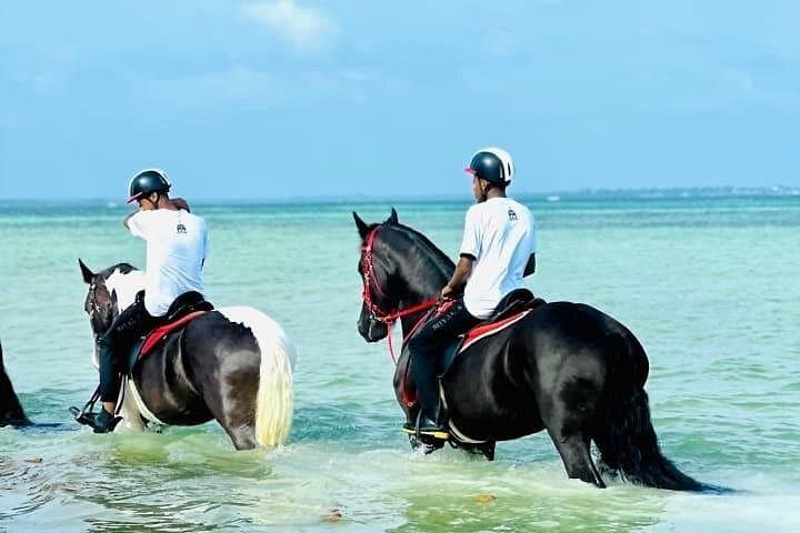 Horseback Riding on Zanzibar Beaches: Ocean Rides & Coastal Culture photo 1